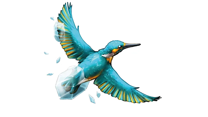 Alxedo Webdesign & Illustration